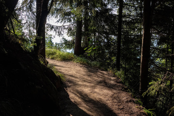 Деревенская гравийная дорога на зеленом лугу, ведущая в горы Словакии
 - Фото, изображение