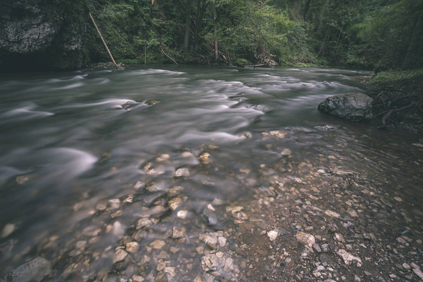 long exposure rocky mountain river in summer with high water stream level in forest with trees and sandy foreground shore - vintage old film look - Photo, Image