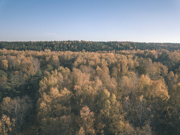 Lennokkikuvan. antenni näkymä maaseudulle pellot ja metsät pilvinen syyspäivä keltainen värillinen syksyllä puita päivä. latvia - vintage vanha elokuva näyttää
 - Valokuva, kuva