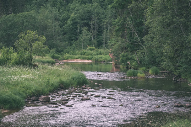córrego rochoso de rio profundo na floresta no verão. Rio Amata na Letônia perto de Cesis
 - Foto, Imagem