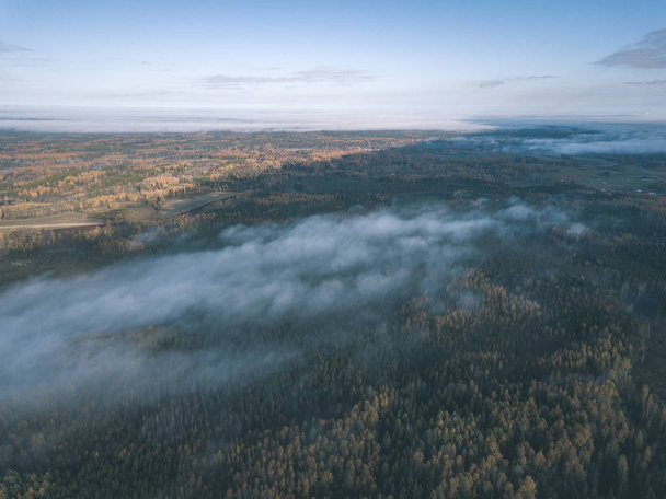 imagen del dron. vista aérea de la zona rural con campos y bosques cubiertos de niebla de otoño. latvia - aspecto de película antigua vintage
 - Foto, imagen