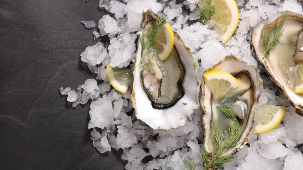 view from above of oysters and ice cubes with lemon slices - Fotografie, Obrázek