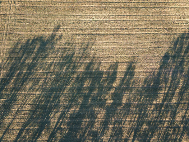 imagen del dron. vista aérea de la zona rural con campos y bosques en el día nublado otoño con el día de los árboles de otoño de color amarillo. latvia - aspecto de película antigua vintage
 - Foto, Imagen