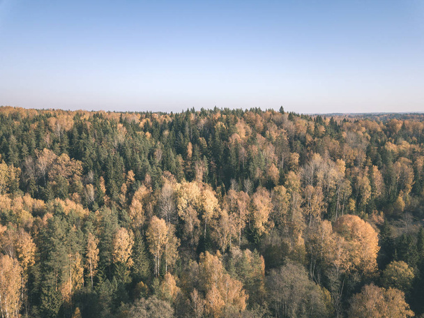 Imagem de drone. vista aérea da área rural no outono com árvores de cor amarela e vermelha na floresta de cima. latvia, dia da queda colorida - olhada de filme velha vintage
 - Foto, Imagem