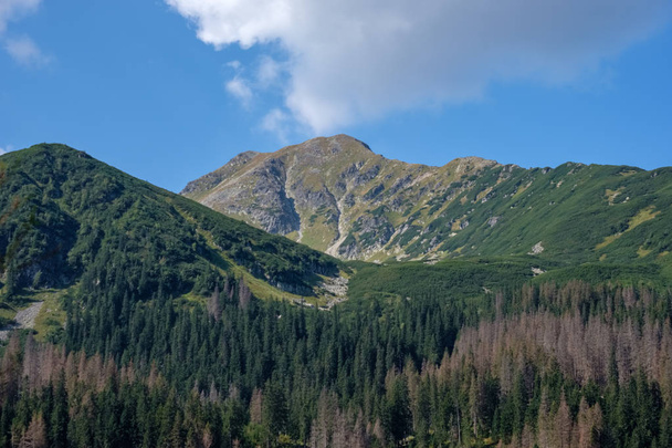 oeste de las montañas Cárpatos con rutas de senderismo turístico, Tatra, Eslovaquia
 - Foto, Imagen