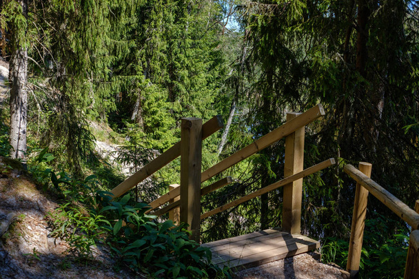 Holzweg im grünen Sommerwald - Foto, Bild