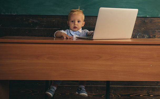 Adorable toddler learn computer knowledge in school classroom. Test of knowledge. Know how - Foto, Imagem
