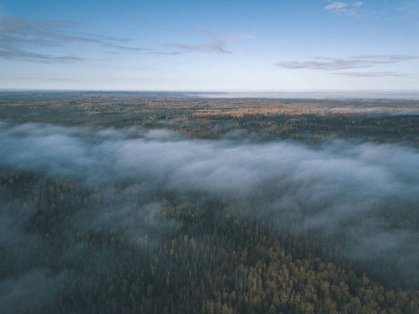 κηφήνας εικόνα. Αεροφωτογραφία της αγροτικής περιοχής με τα χωράφια και δάση καλύπτονται από το φθινόπωρο ομίχλη. Λετονία - vintage εμφάνιση παλιά ταινία - Φωτογραφία, εικόνα
