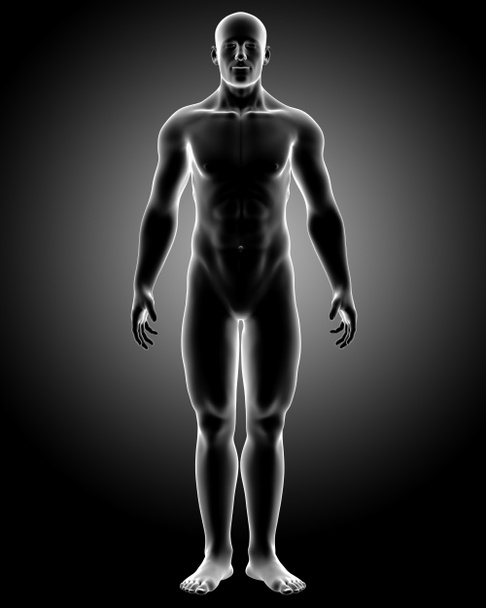 ilustracja renderowane medycznych x-ray ludzkiego ciała z boku poza anatomii - Zdjęcie, obraz