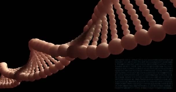 Het analyseren van Dna-structuur, forensisch onderzoek, genen en genetische aandoeningen, wetenschap. DNA-moleculen - Video