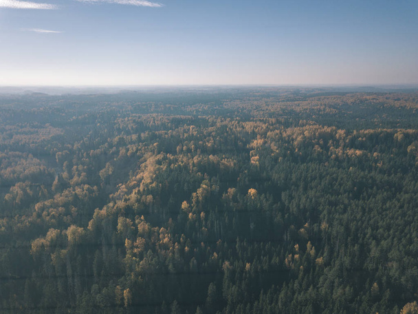 Drone obrazu. Widok z lotu ptaka z obszarów wiejskich w jesieni z żółtymi i czerwonymi kolorowych drzew w lesie z góry. Łotwa, dzień jesieni colorfull - starodawny stary wygląd filmu - Zdjęcie, obraz