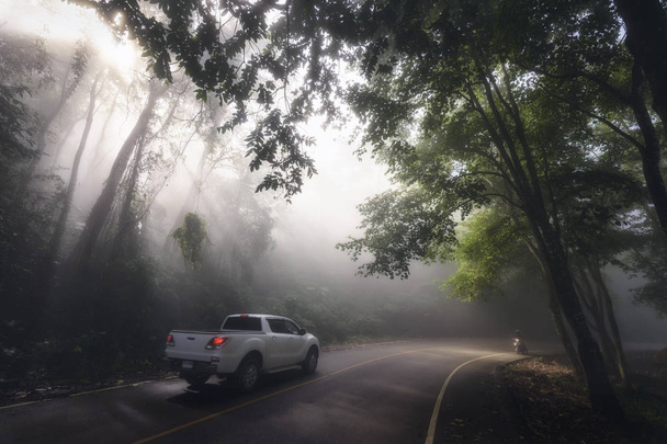 SUV pickup auton ajoneuvon ajo luonnonkaunis paikallinen käyrä kadulla sumu, auringonsäteet valo, ja kaunis vihreä metsä. Perhe road trip matkustaa Phu Chi Fa, Chiang Rai, Thaimaa
. - Valokuva, kuva