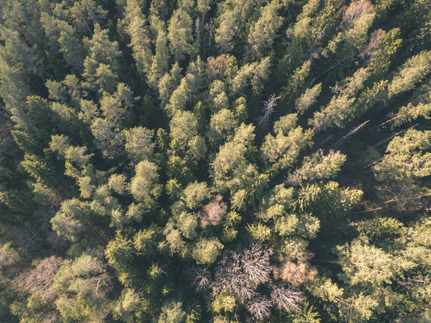 Imagem de drone. vista aérea da área rural com campos e florestas e reflexões de água no rio em dia de primavera nublado. latvia - olhada de filme velha vintage
 - Foto, Imagem