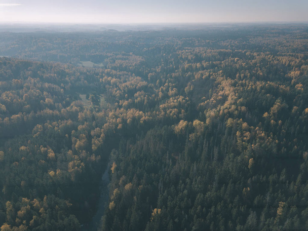 Drohnenbild. Luftaufnahme des welligen Flusses im Herbst farbigen Wald. Lettland, Fluss Gauja - alter Filmlook - Foto, Bild