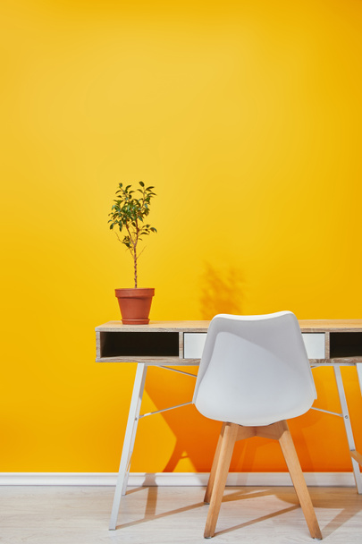 Plant in flowerpot on wooden table near bright yellow wall - Foto, afbeelding