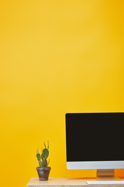 Computer and cactus in pot at wooden table on yellow  - Fotoğraf, Görsel