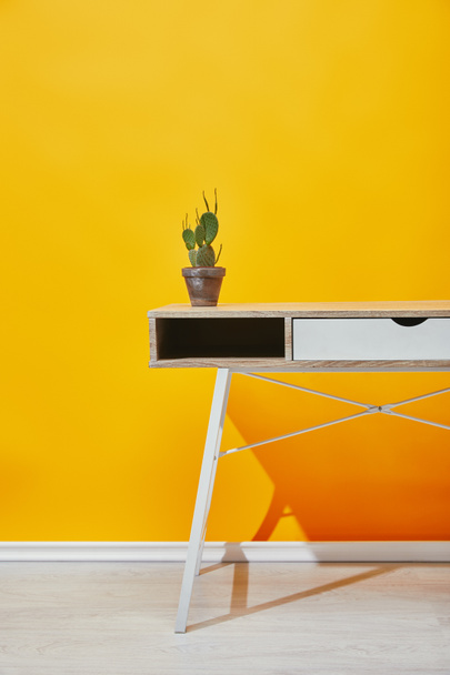 Cactus in flowerpot at wooden table with yellow wall at background - Photo, Image