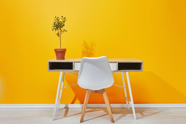 Masa ve sandalye sarı duvarının yakınında, Saksı bitki - Fotoğraf, Görsel