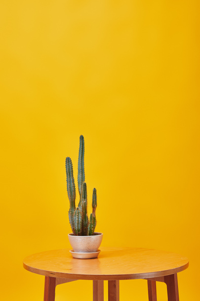 Cactus in flowerpot at wooden coffee isolated on yellow - Zdjęcie, obraz