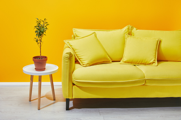 Sofa mit Pflanze auf kleinem Couchtisch neben gelber Wand - Foto, Bild