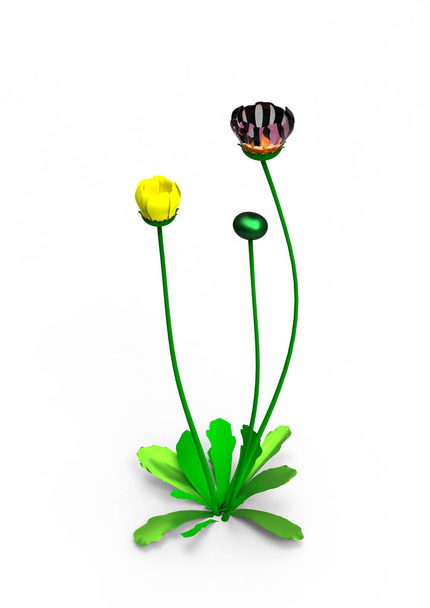 maljakko kukkia 3D eristää tausta
 - Valokuva, kuva