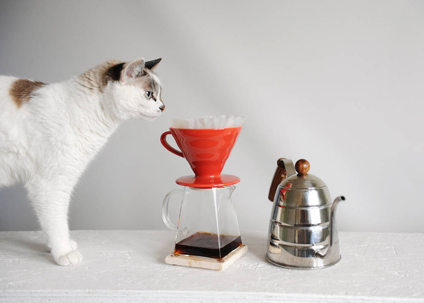 Bílá kočka a překapávaná káva v červené barvě zalijeme. Husí krk konvice. Bílé pozadí. - Fotografie, Obrázek
