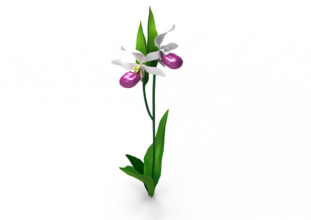 Vaas bloemen 3d isoleren achtergrond - Foto, afbeelding