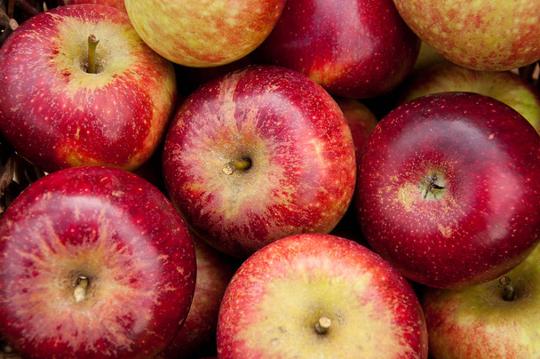 Muchas manzanas rojas frescas
  - Foto, imagen
