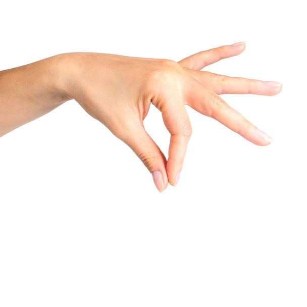 Woman hand showing picking up pose or holding - Foto, Imagen