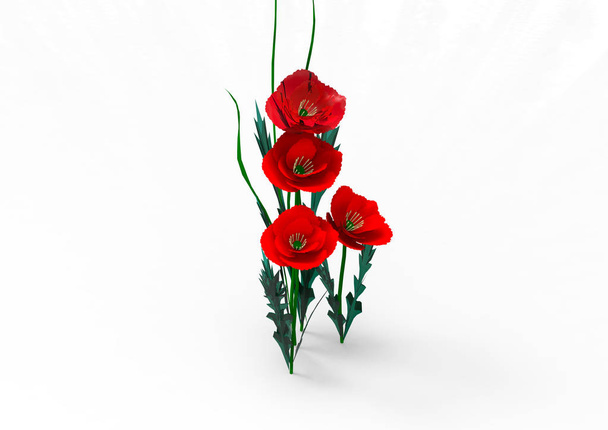 Váza květiny 3d izolovat pozadí - Fotografie, Obrázek