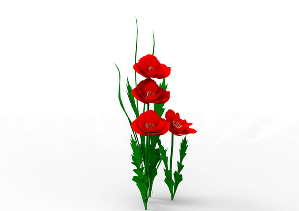 vaso fiori 3D isolare sfondo
 - Foto, immagini
