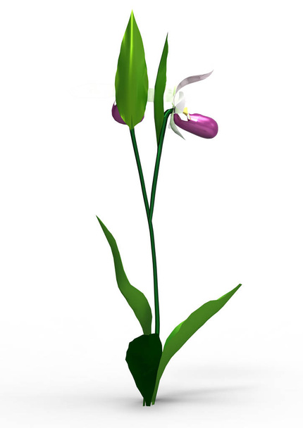 váza virág 3d elkülönítése háttér - Fotó, kép