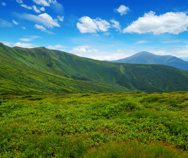 krajobraz górski w lecie - Zdjęcie, obraz