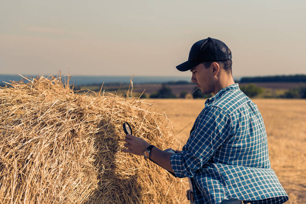 jonge boer in veld met Tablet PC- en vergrootglas evalueert de hooi-oogst - Foto, afbeelding