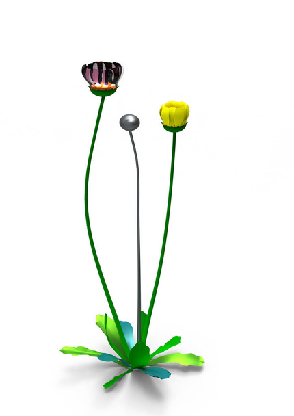 florero flores 3D aislar fondo
 - Foto, imagen