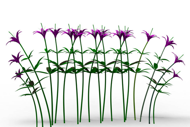 fleurs de vase 3D isoler fond
 - Photo, image