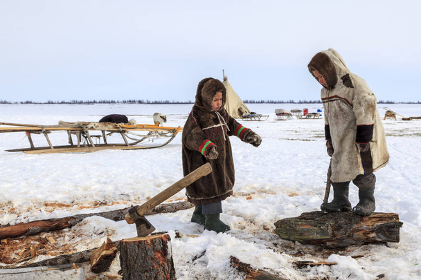 Nadym, Rusia - 27 de abril de 2018: tundra, área abierta, los niños con ropa nacional en clima frío de invierno, ayudar al Papa a cortar leña, editorial
 - Foto, imagen