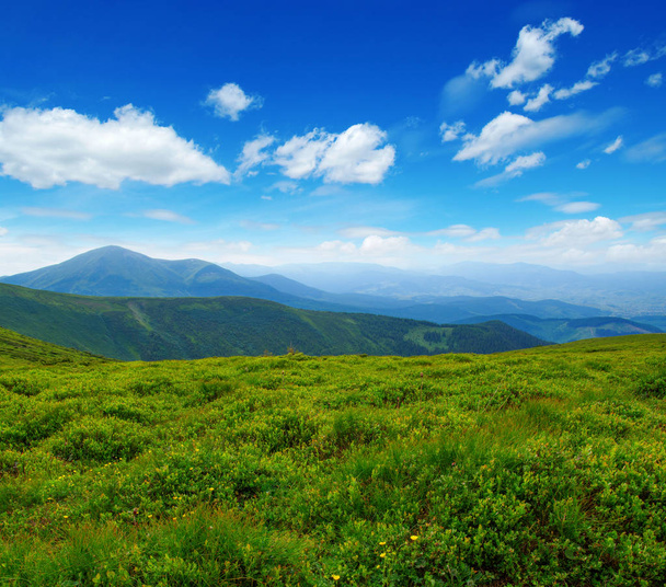 paysage de montagne en été - Photo, image