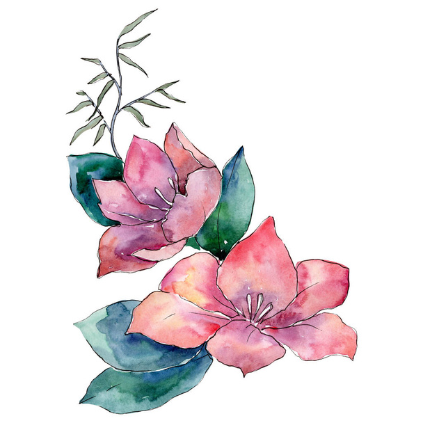 Pink flowers bouquet with green leaves. Isolated bouquet illustration element. Watercolor background illustration set. - 写真・画像