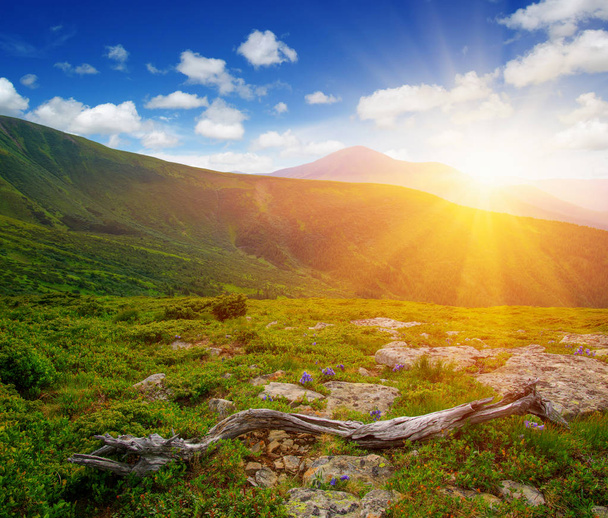 Güneşli dağ manzarası - Fotoğraf, Görsel