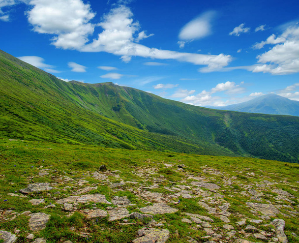Mountain landscape in the summer - Photo, Image