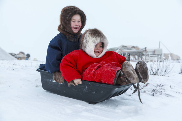 Un residente della tundra, residenti indigeni dell'estremo nord, tundra, spazio aperto, bambini in slitta, bambini in abiti nazionali, Bambina in abiti rossi
 - Foto, immagini