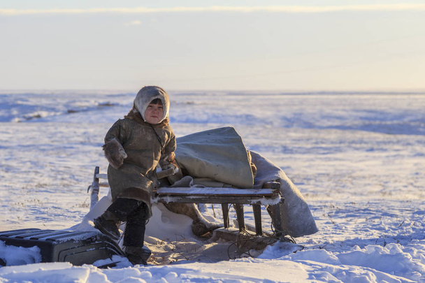 a belföldi illetőségű a tundra, őshonos lakosok Far North, tundra, nyílt területen, gyerekek lovagolni a szánkók, gyermekek nemzeti ruhák - Fotó, kép