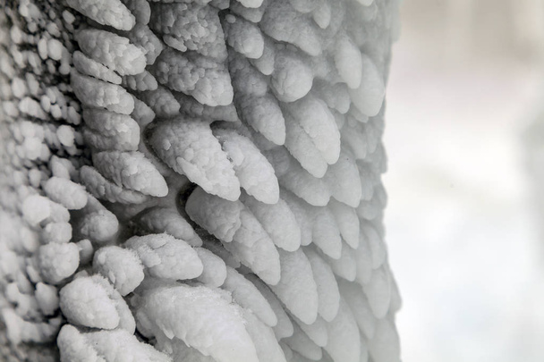Jäähän jäätyneet oksat. Jäädytetty puun oksa talvimetsässä.Jäätynyt vesiputous; Lumi, pakkanen lähikuva, lumihiutale luonnollisessa ympäristössä
 - Valokuva, kuva