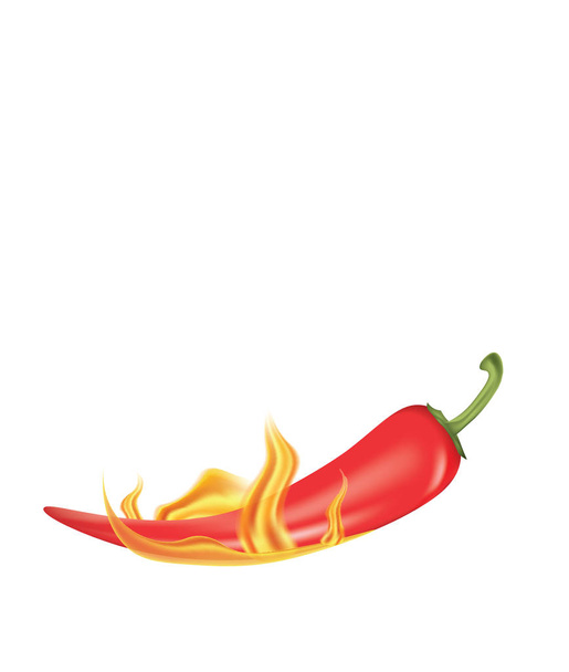 Red chili pepper in fire. vector illustration - Vector, Image