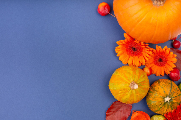 Top view of yellow and orange flowers and pumpkins on blue background with copy space. Blank greeting card for creative work design. flat lay - 写真・画像