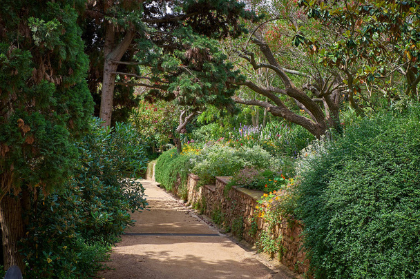 Ботанический сад Маримуртры в Бланесе, Каталония
. - Фото, изображение