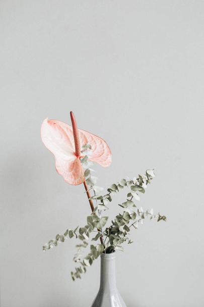 Floral bouquet of pink anthurium flower and eucalyptus branch in vase on pastel wall background. Florist concept - Photo, Image