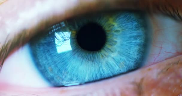 oeil bleu macro avec pupille dilatée. concept de vision claire et nette de la réalité, approche et nettoyage en profondeur et attention à la santé oculaire
. - Séquence, vidéo
