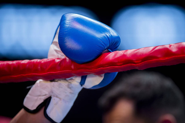  hand van fighter boksen in handschoen legt touwen van de ring - Foto, afbeelding